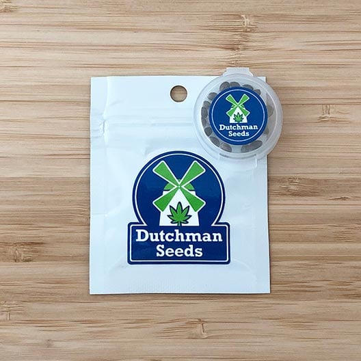 Get-Best-Feminized-Marijuana-Seeds-Do-Si-Dos-Seeds