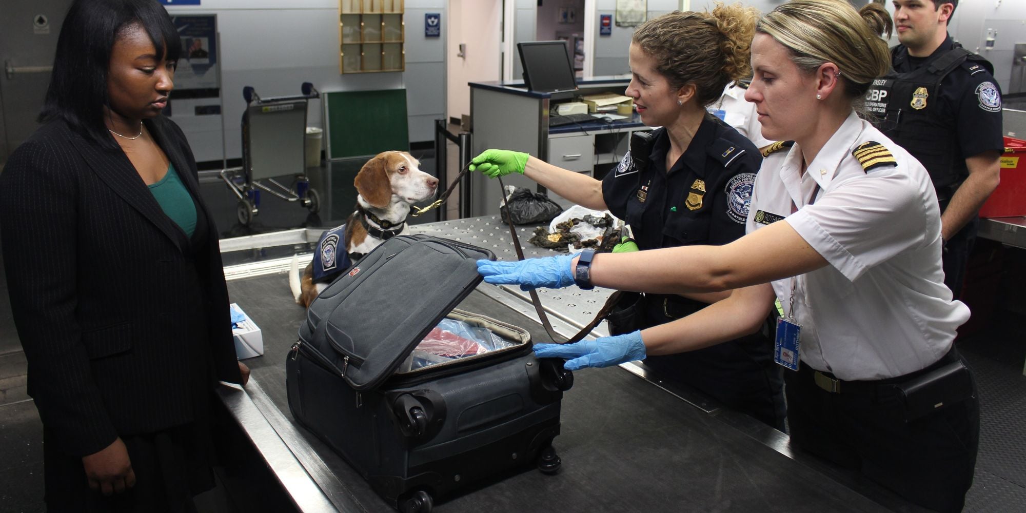Drug-Sniffing Dogs
