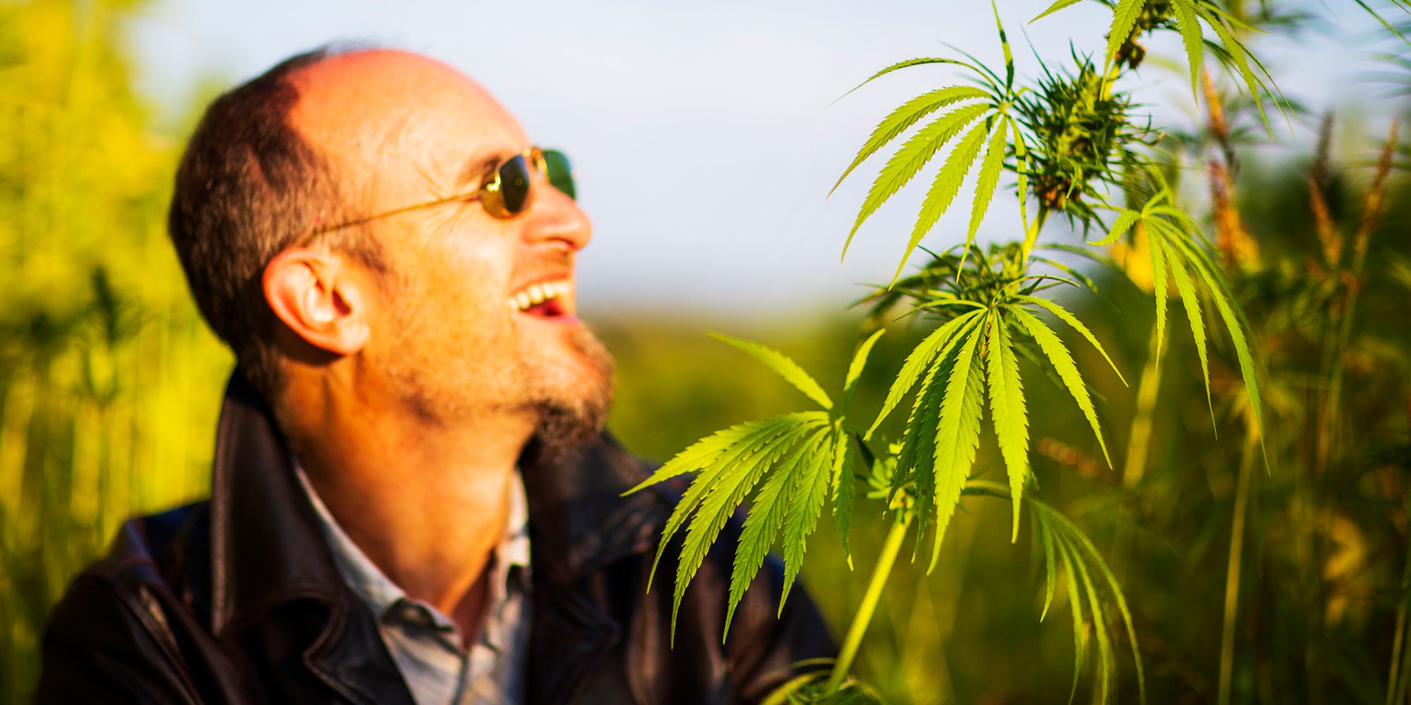 Marijuana Seeds