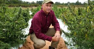 shop Marijuana Seeds in Nunavut for sale