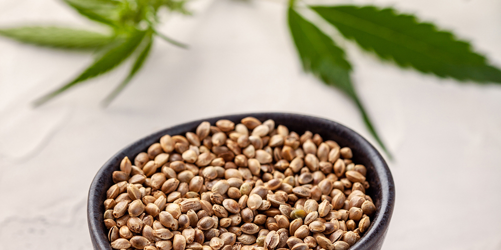 A bowl filled with a cannabis seeds next to a marijuana leaf