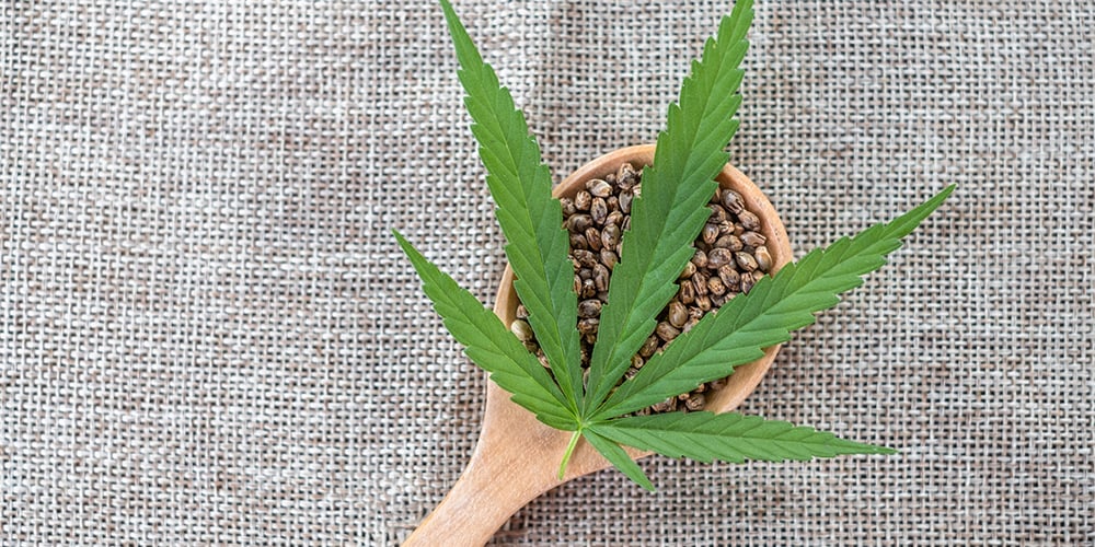 Glass bottle of hemp oil, wooden spoon with hemp seeds, and fresh hemp leaves arranged on a rustic table.
