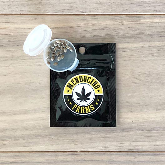 Get-Best-Feminized-Marijuana-Seeds-Charlotte-Angel