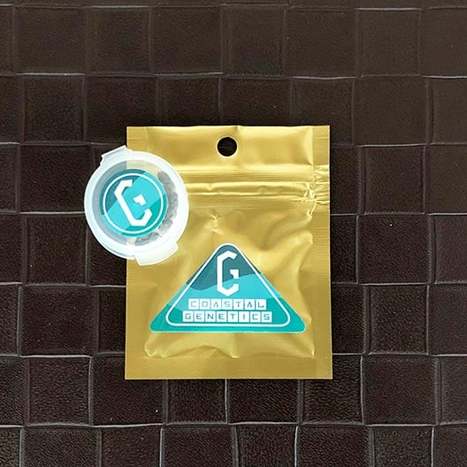 Get-Best-Feminized-Marijuana-Seeds-Mimosa-Orange-Punch-Seeds