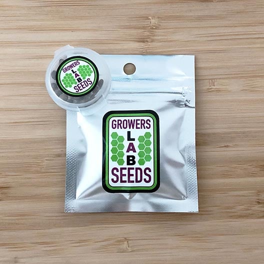 Get-Best-Feminized-Marijuana-Seeds-Kush-Mints-Seeds