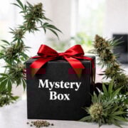 shop mystery box cannabis seeds