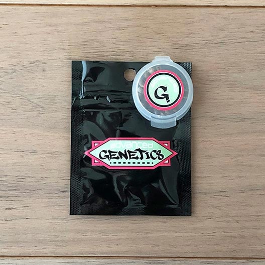 Get-Best-Feminized-Marijuana-Seeds-Grape-Canyon-Zkittlez-Seeds