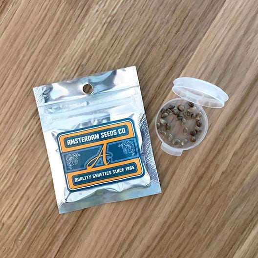 Get-Best-Feminized-Marijuana-Seeds-Captain-Jack-Seeds
