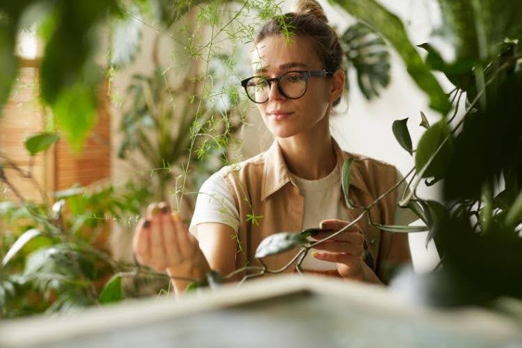 Botanist examining plants indoors.