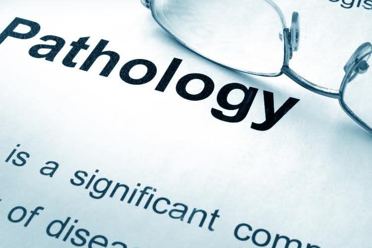 Plant pathology research and study.