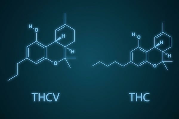 what-is-thcv-thcv-vs-thc An illustration of THCV molecular structure vs THC molecular structure
